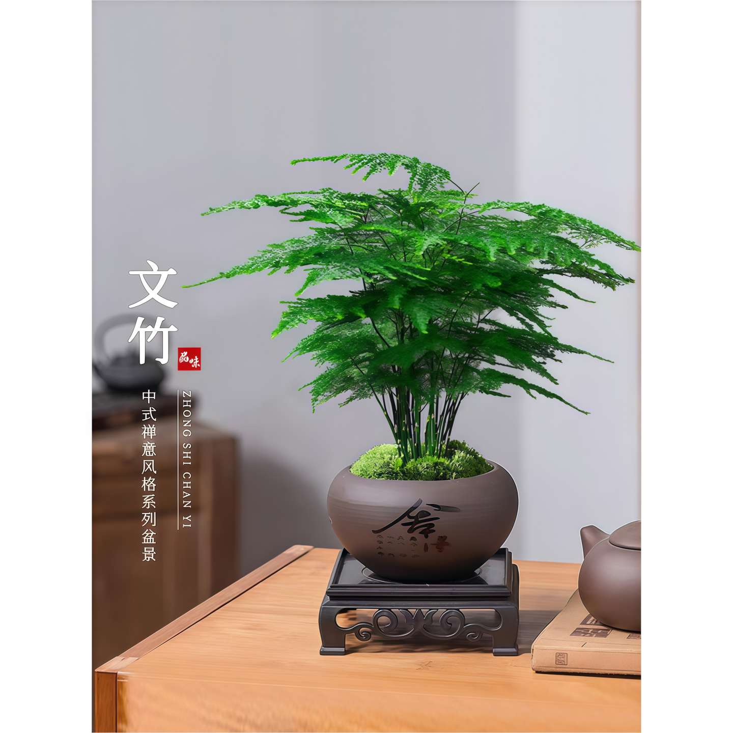 文竹盆栽文房植物室内客厅中式