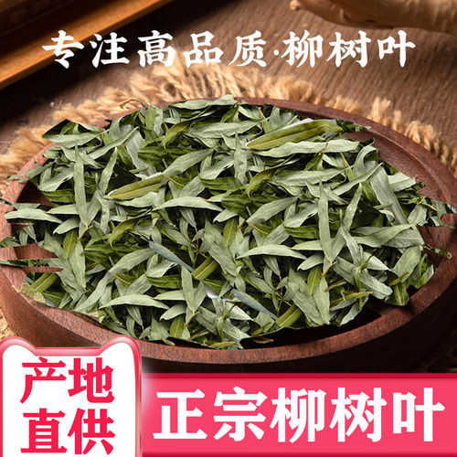 柳枝叶柳枝叶正品包邮