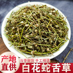 白花蛇舌草正品中药材500g新鲜野生百花蛇舌草舌草茶中草药泡茶水