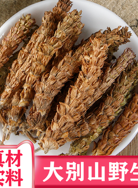 夏枯草500g中药材夏枯球泡茶泡水野生白毛草夏菇草药蒲公英旗舰店
