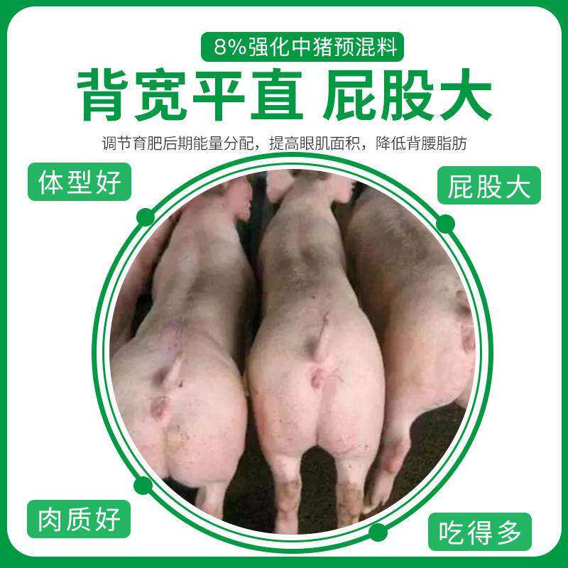极速银龙猪饲料大屁股8强化大猪生长猪预混料肥猪用料可添加鱼粉2
