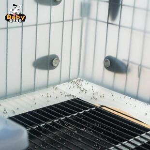 兔笼防喷尿pvc板 猫笼猫砂防溅挡板 猫笼配件 防外溅围板通用配件