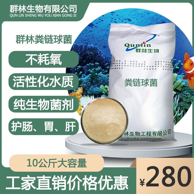 极速群林乳酸菌粪链球菌水产养殖活水饲料添加剂微生物改善肠工厂
