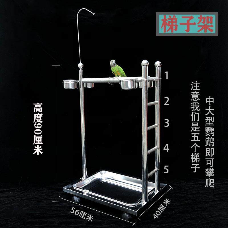 鹦鹉鸟类宠物鸟站架不锈钢折衷观赏架梯子架栖息架中大型饲养架子,宠物/宠物食品及用品,鸟禽其他,淘宝优惠券,粉丝福利购,淘宝优惠卷
