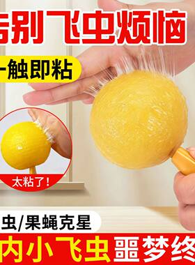 强力粘虫球菜园果树蔬菜小飞虫室内厨房家用黄色果蝇诱捕器诱蝇球