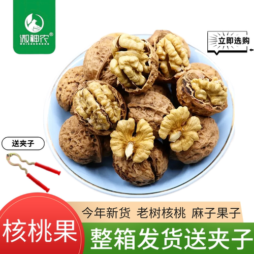 微神农新鲜薄皮干核桃大树核桃果