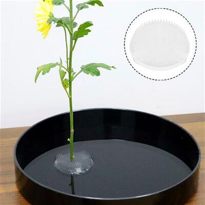 Flower for Flower Arrangements Floral Arranging Pin Holder