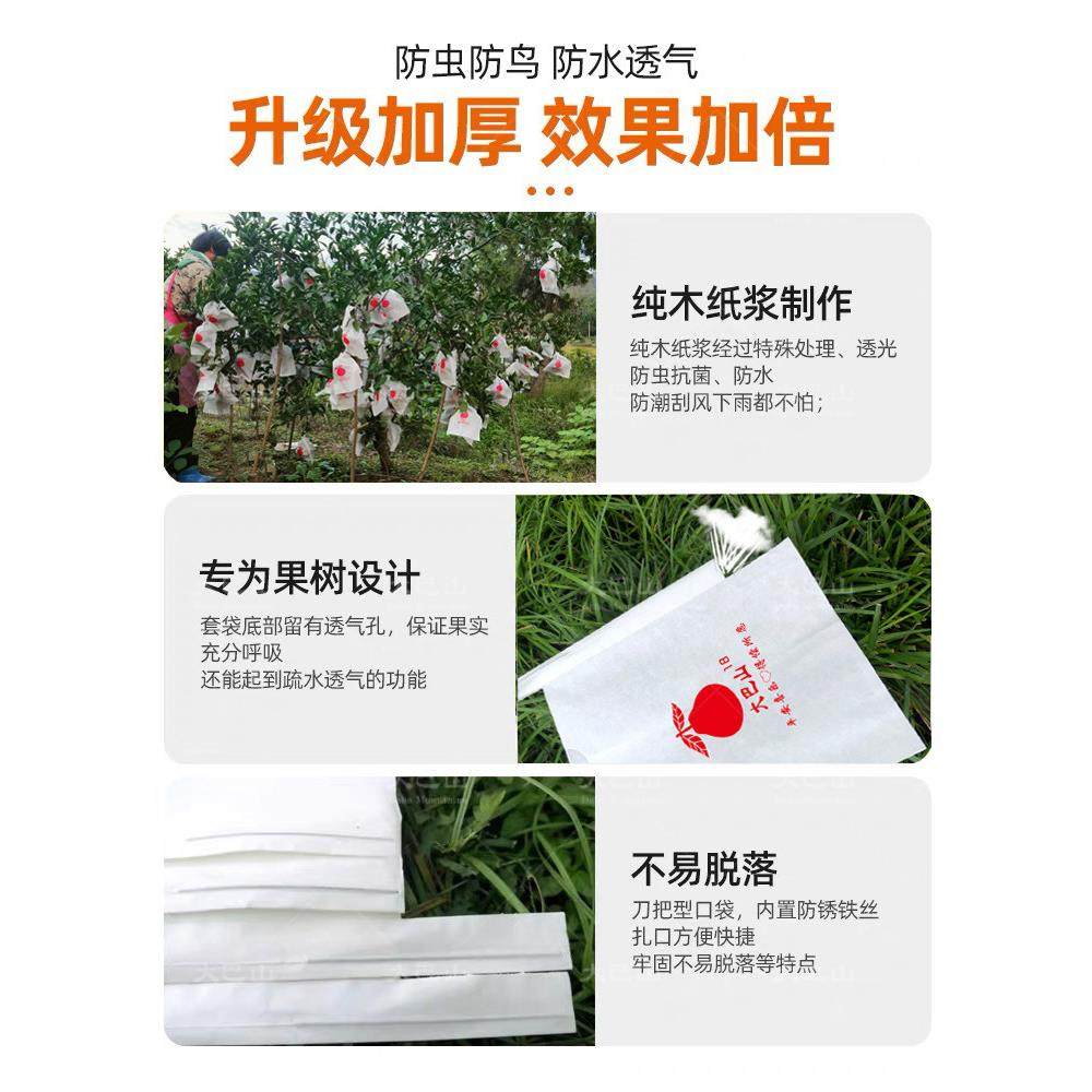 大巴山柑橘套袋专用袋耙耙柑套果袋丑橘橙子套袋枇杷梨防虫保护袋,农机/农具/农膜,水果套袋/果袋,淘宝优惠券,粉丝福利购,淘宝优惠卷
