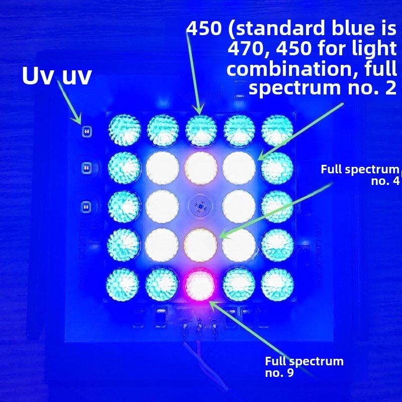 定时调光18瓦珊瑚灯30平方海水水箱海水鱼缸小丑鱼珊瑚回滤池海水