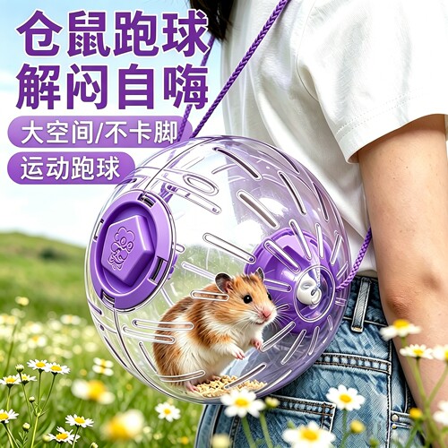 仓鼠跑球玩具！19cm大号便携跑球