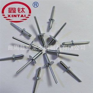 抽芯铆钉铁拉钉拉柳丁全铁铆钉碳R钢开口圆头大帽拉钉 全铁拉铆钉