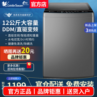 小天鹅全自动洗衣机8 12kg公斤家用小型大容量除螨 超净洗