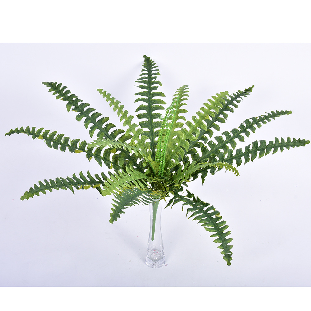 仿真波斯叶多款款叶子塑料把束肾蕨 铁树蕨类植物 园艺绿植装饰