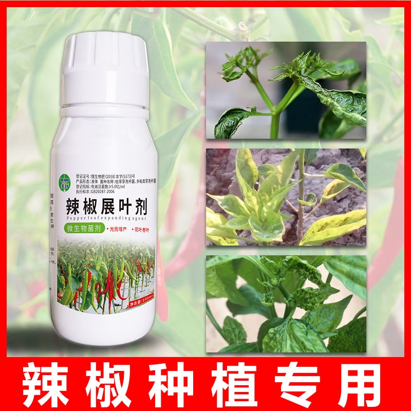 辣椒展叶剂大田棚辣椒小叶黄叶花叶专用微生物菌剂