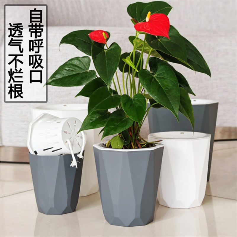 速发免浇水15天立体棱角哑光双层懒人套盆种小植物树脂八角边储水
