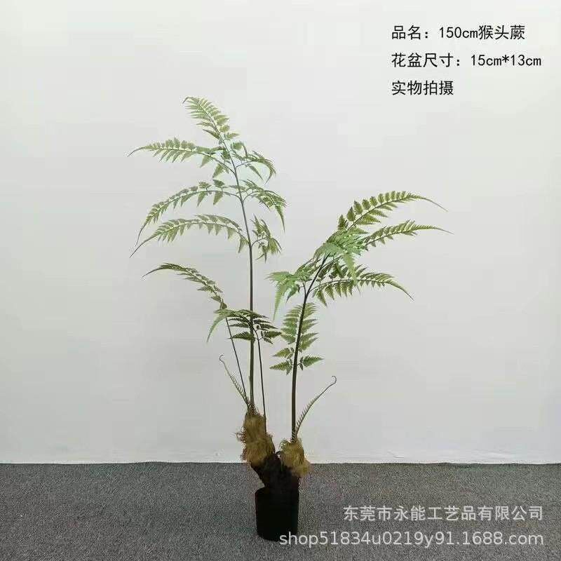 速发仿真猴头蕨金毛狗蕨假树室内中式园林系庭院造景装饰绿植物盆