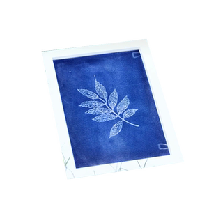 蓝晒diy材料包ab液感光工具拓印专用颜料纸书签扇子帆布袋套装