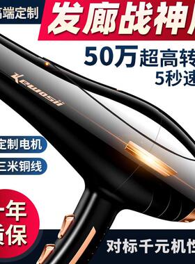 德国吹风机家用大功率发廊专用理髲店3800w负离子护发速干 干吹风