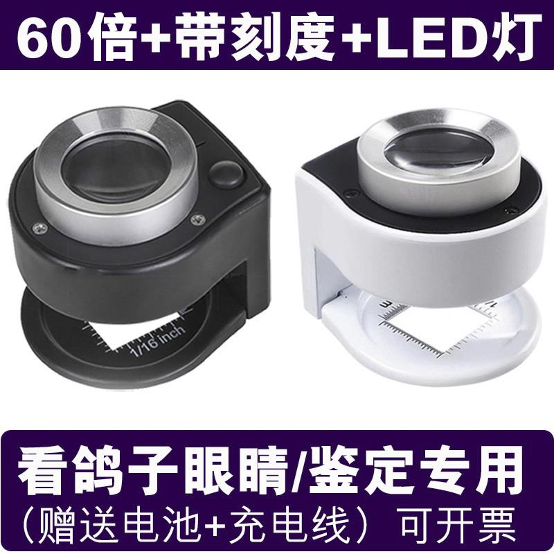 放大镜鸽子眼看鸽子眼睛面料印刷网点高清珠宝60倍标尺信鉴定专用