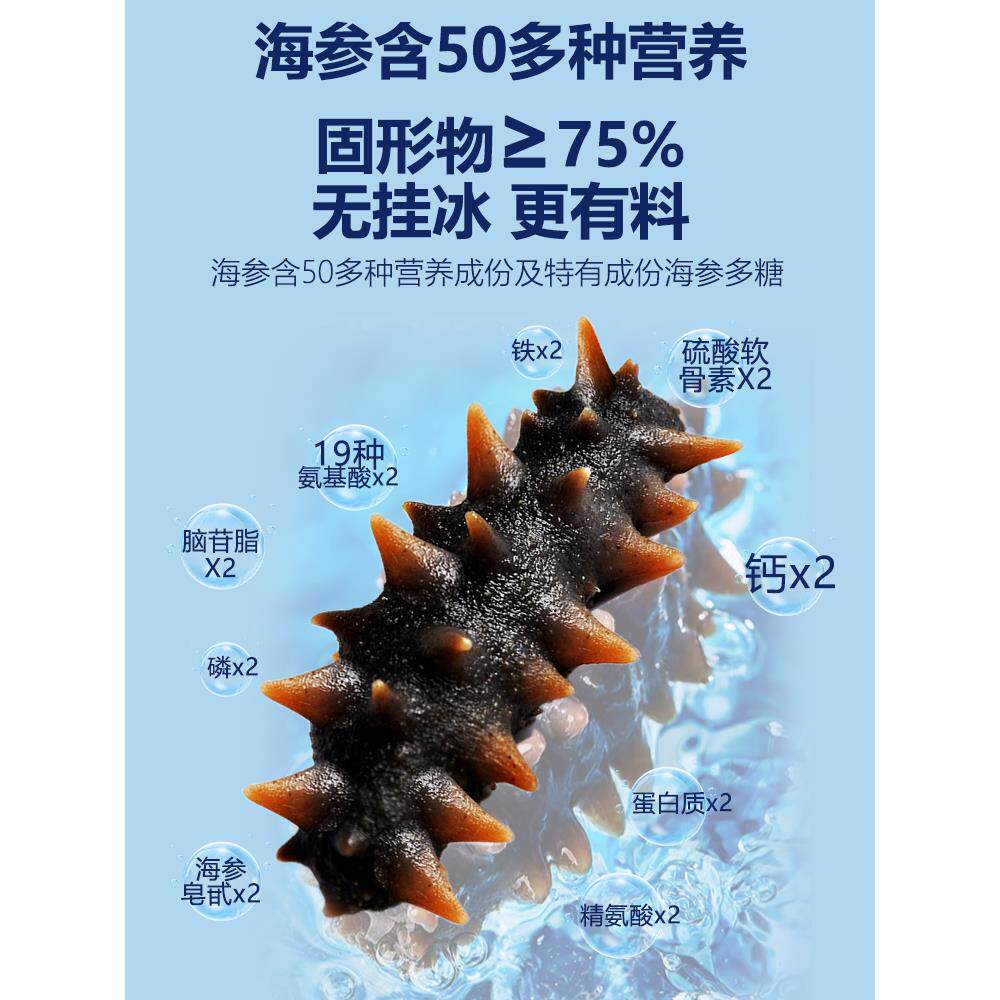 海纳堂即食海参大连正宗辽刺参鲜食冷蒸速冻独立单祇包装送礼礼盒