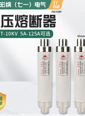 高压限流熔断器XRNT10-12KV10A20A40A50A63安80A100A箱变保险管丝
