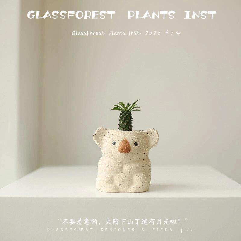 铁甲麒麟多肉植物考拉盆栽办公室桌面幼儿园好养活绿植可爱送礼物