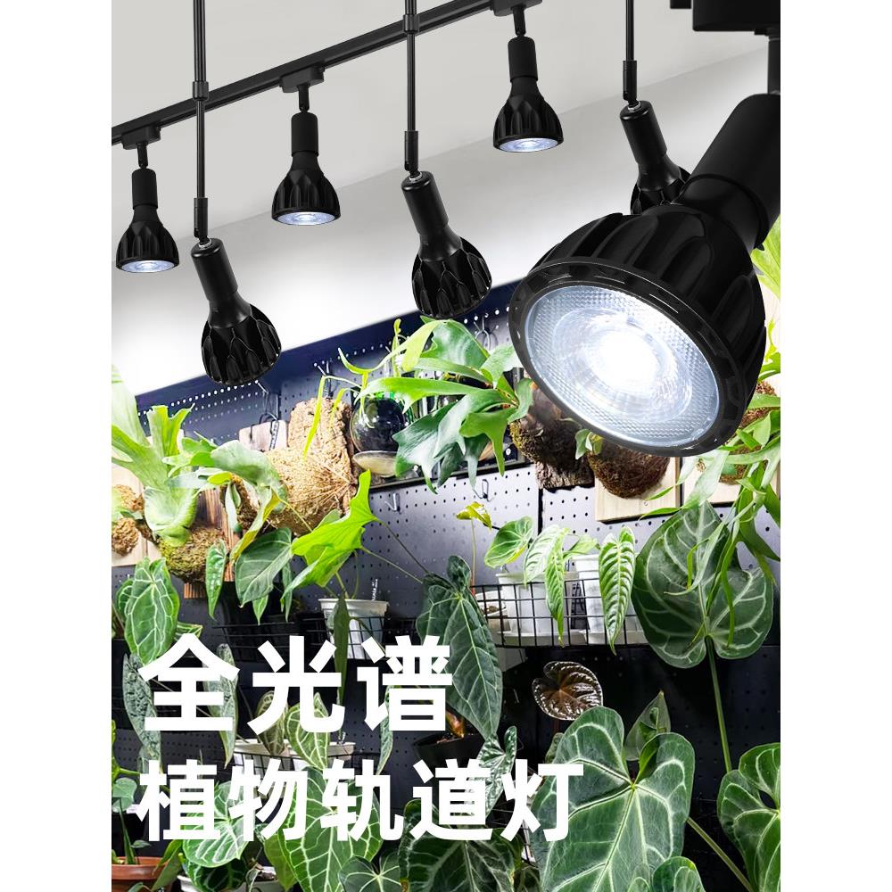 全光谱植物填充灯Led绿色植物墙生长灯室内热植物根鹿角蕨类双线