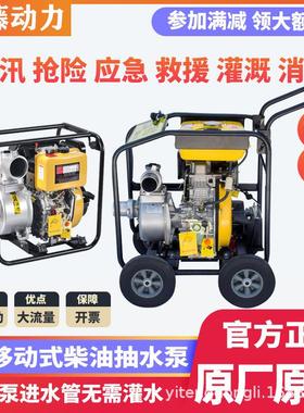 2寸3寸4寸小型柴油机抽水泵YT20DP YT30DP YT40DPE电启动