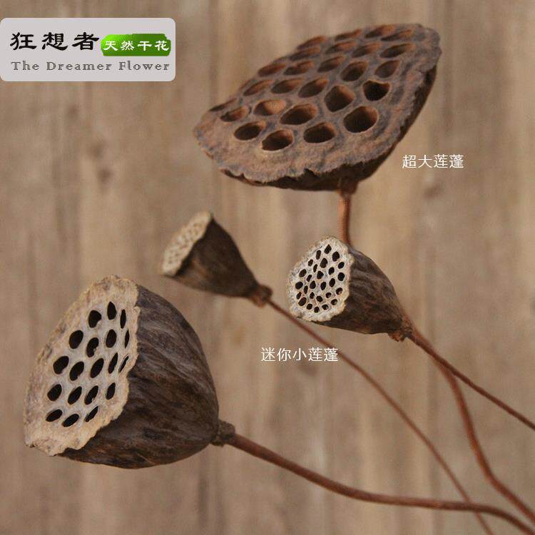 莲蓬森系自然干花束真花店餐厅家居装饰插花diy云南厂家