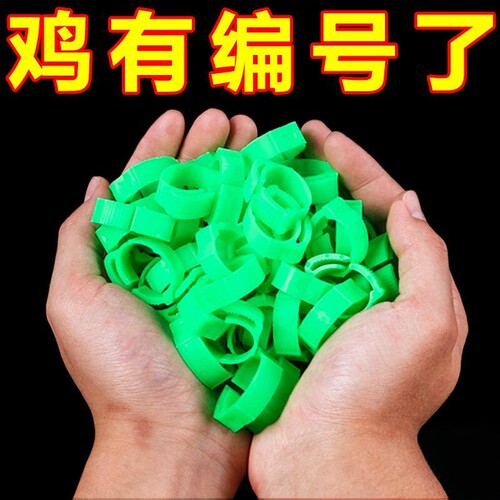 养殖厂鸡脚环自动卡扣防走失
