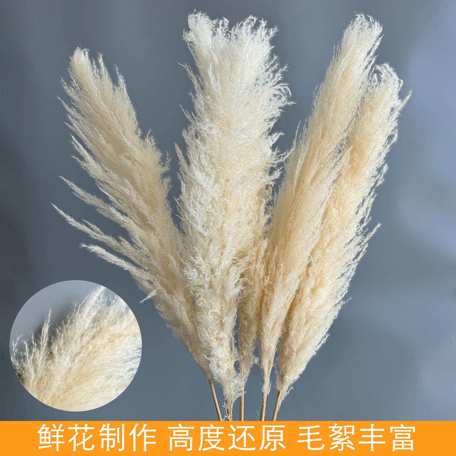 蒲苇原色漂白大芦苇婚庆装饰道具简约百搭居家花束厂家干花