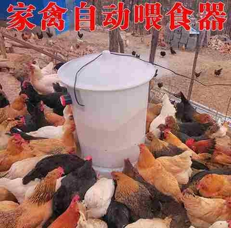 好货散养鸡鸭鹅鸽鸡槽食槽家禽养殖全自动下料饲料桶喂鸡喂食器喂
