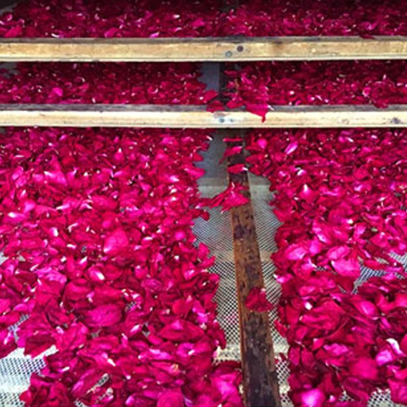 新鲜真玫瑰干燥花瓣婚庆生日布置制造浪漫婚礼求婚表白泡澡洗澡沐