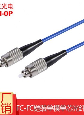 川正(CIZIOP)光纤跳线电信级铠装单模单芯FCFC防鼠咬抗拉力强