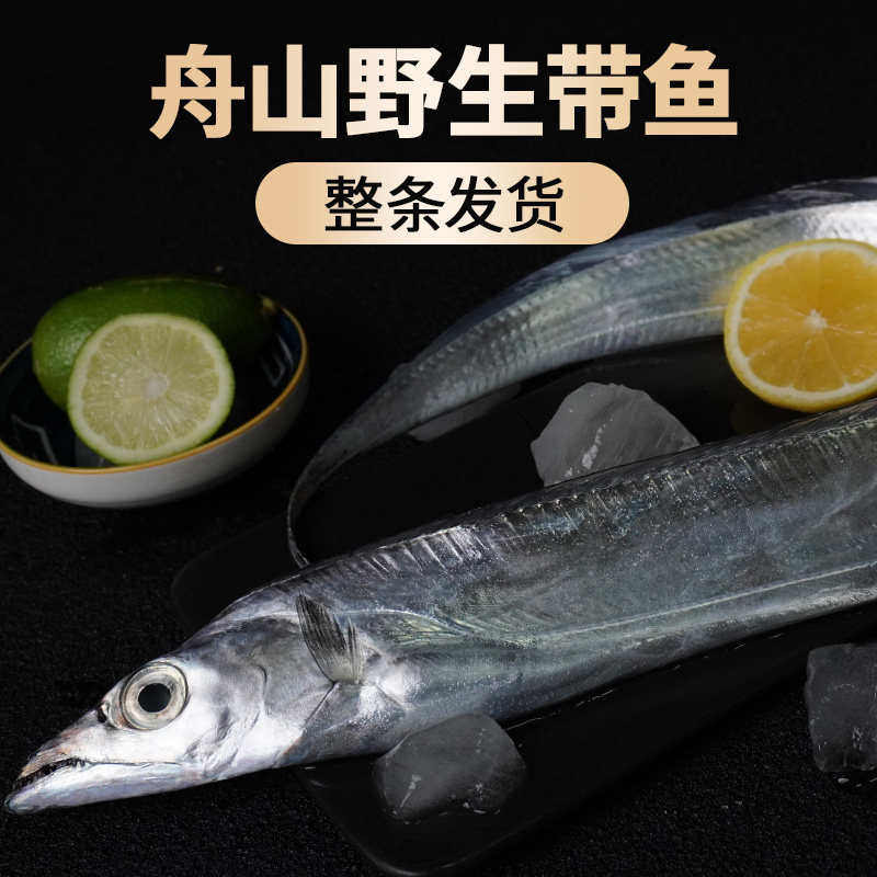 舟山小眼带鱼特大东海整条鲜活冷冻新鲜正宗野生钓带国产刀鱼4斤