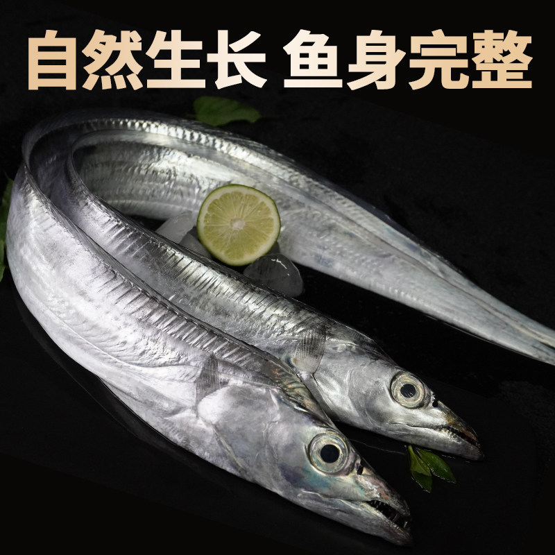 道良尚品舟山带鱼大号6-8两/条