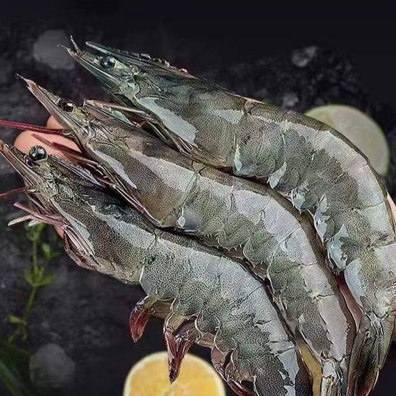 正宗深海海水大虾 肉质紧实 个大味美 鲜冻发货