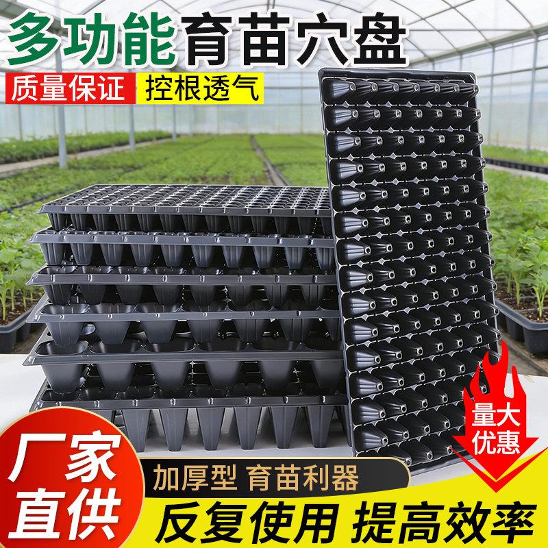 育苗盘穴盘育苗盒营养钵蔬菜育苗盆塑料杯育苗器苗木多肉托盘盆