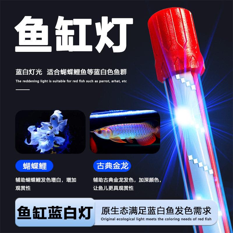 鱼缸蝴蝶鲤led专用蓝白灯超白全光谱水族箱潜水灯增艳灯龙鱼灯