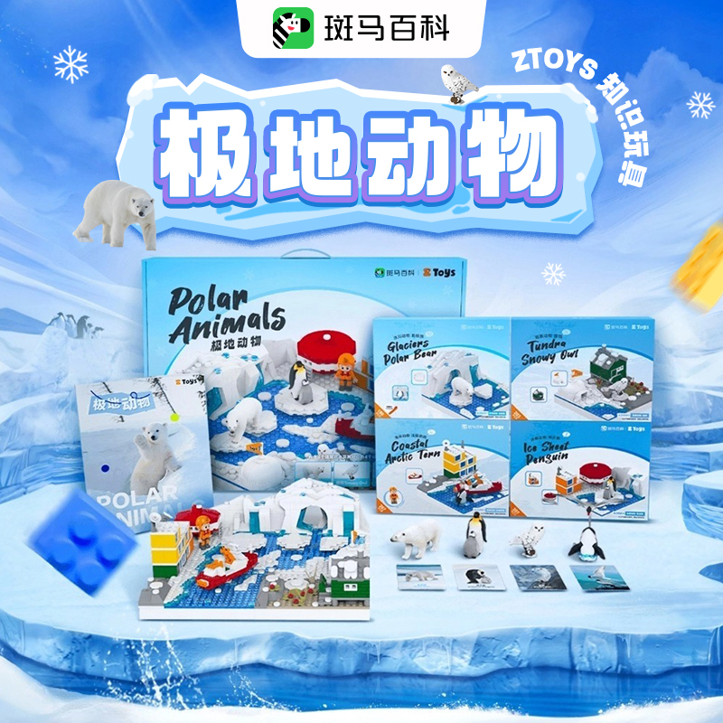 斑马百科ZTOYS极地动物玩具