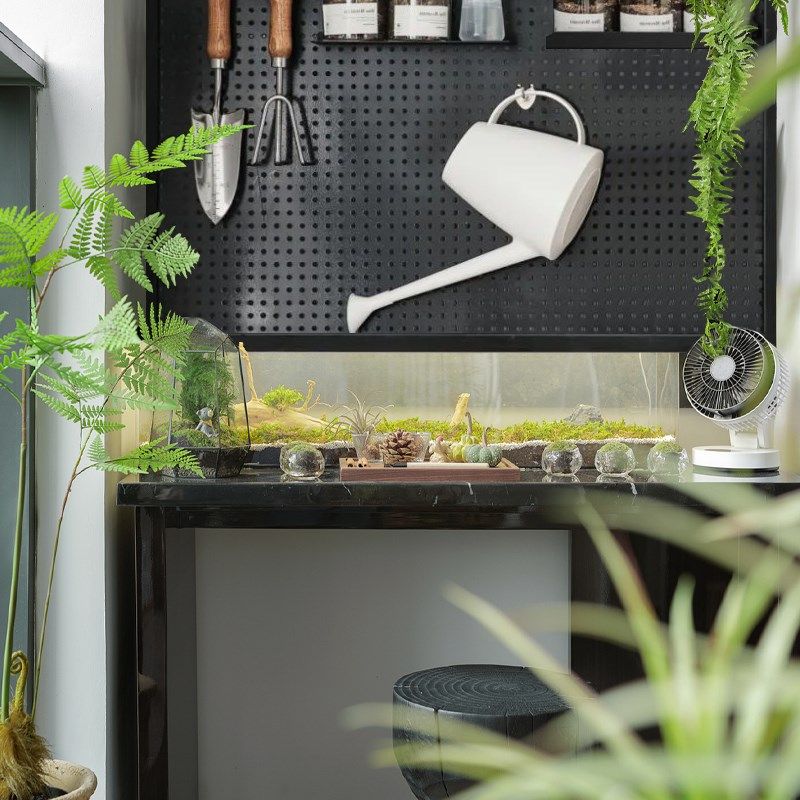 样板间墙面装饰品洞洞板挂件阳台植物墙架子壁饰花园花草种植工具,家居饰品,壁饰,淘宝优惠券,粉丝福利购,淘宝优惠卷