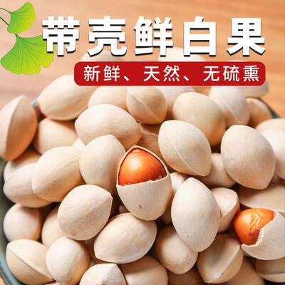2024年新鲜白果子银杏果生百果仁无漂白带壳白果邳州特产