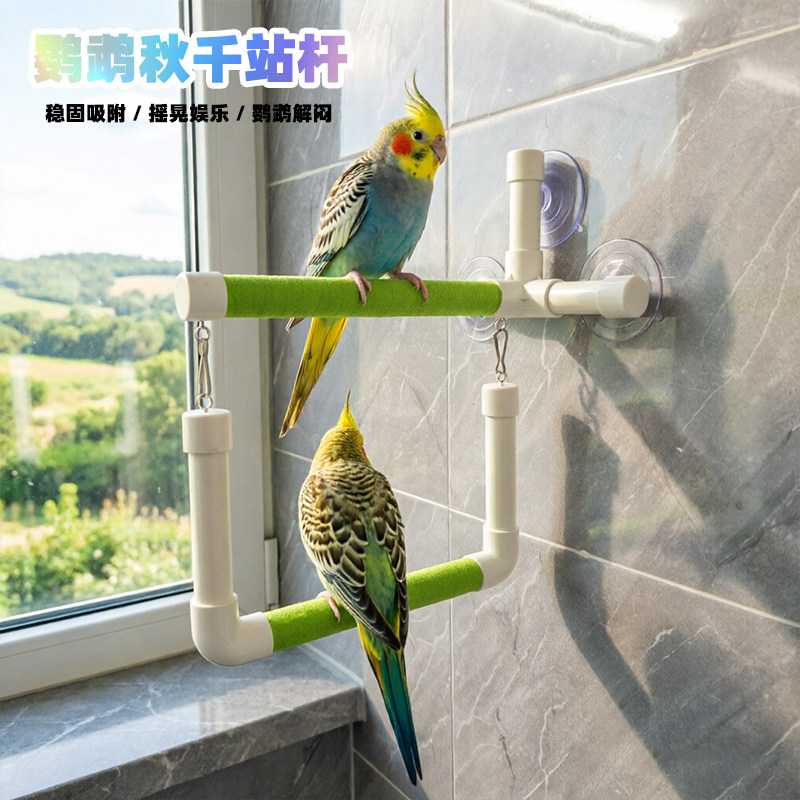 摇摆秋千吸盘鹦鹉站杆图片
