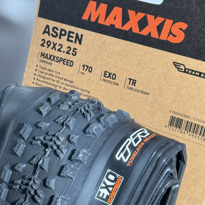 玛吉斯山地外胎ASPENST玛吉斯