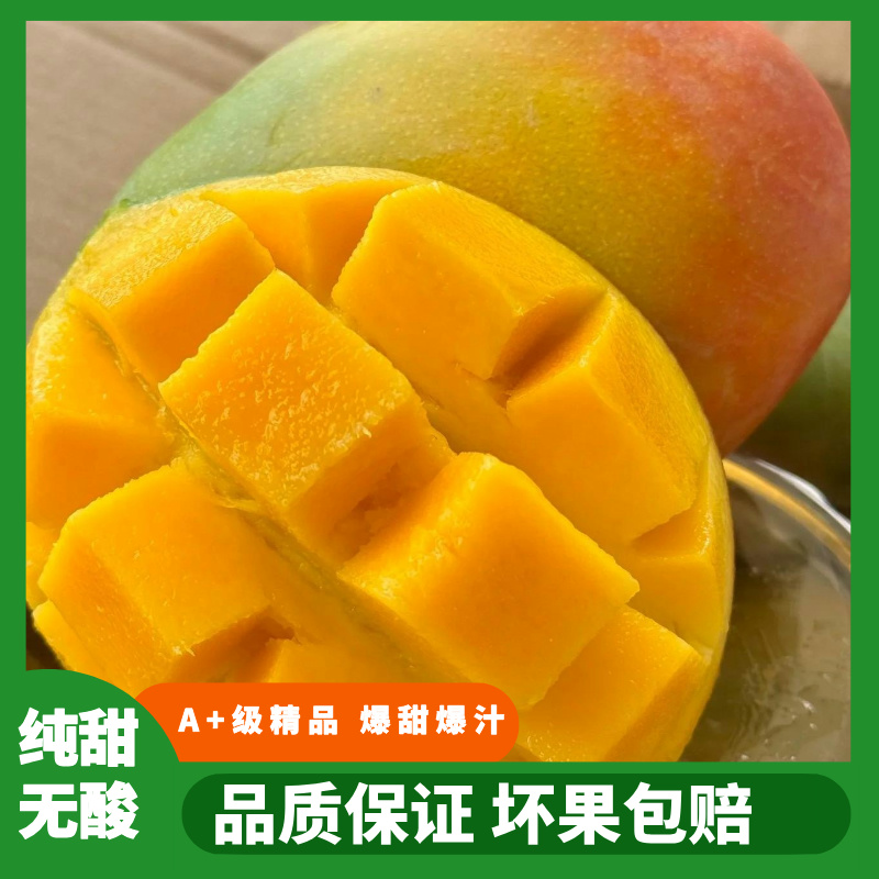 四川攀枝花凯特芒果新鲜现摘当季热带水果纯甜薄核整箱大果