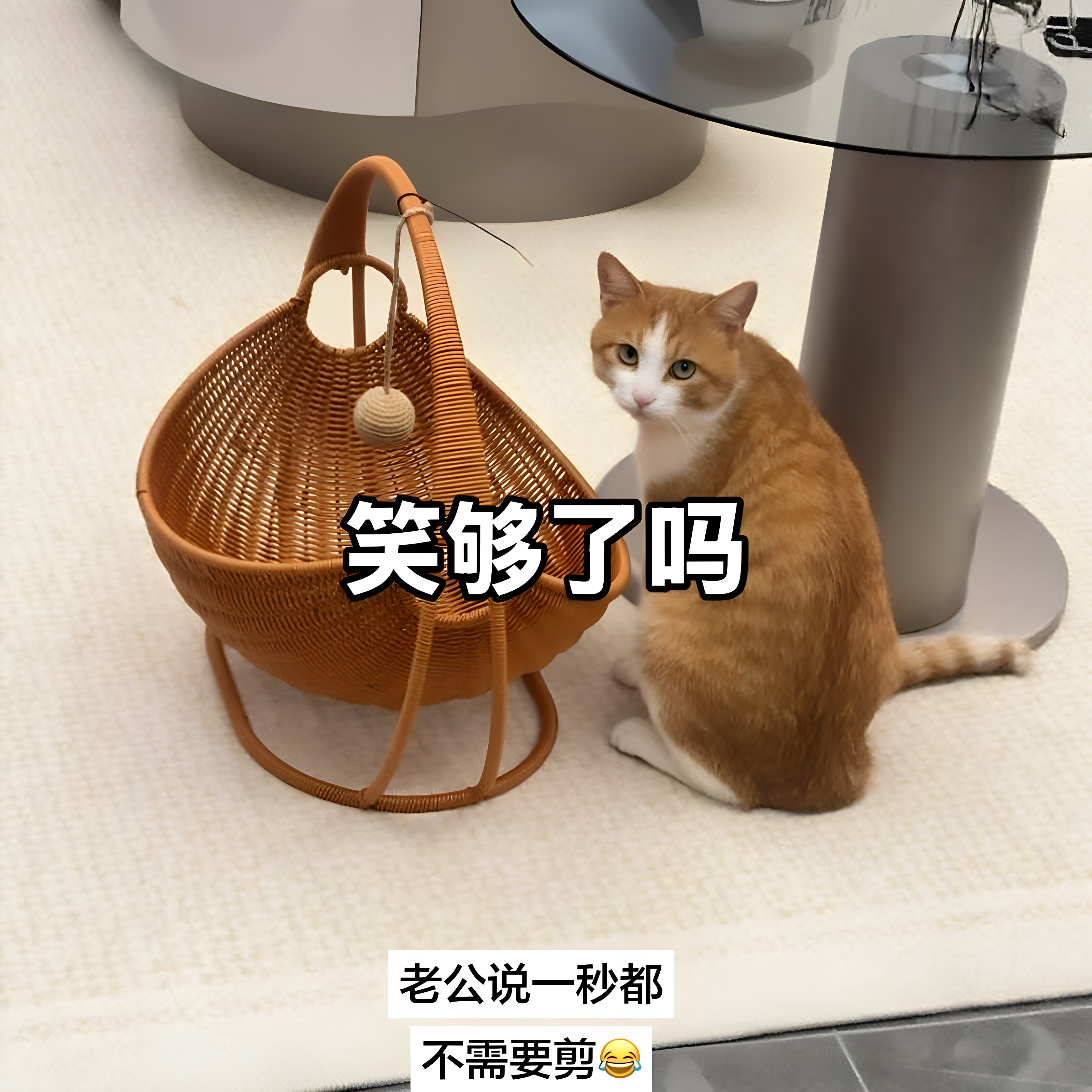 猫咪藤编摇篮猫窝秋千吊床四季通用可拆洗小猫狗狗自嗨解闷玩具床图片