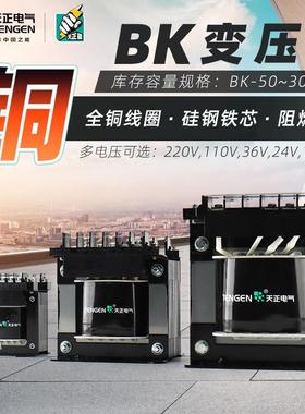 天正BK-50~3000VA控制变压器交流380V转220 110 36 24 12纯铜隔离