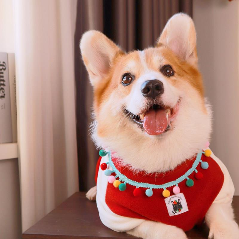 柯基柴犬串串田园犬加绒加厚奥粒绒T恤宠物衣服毛绒衣服
