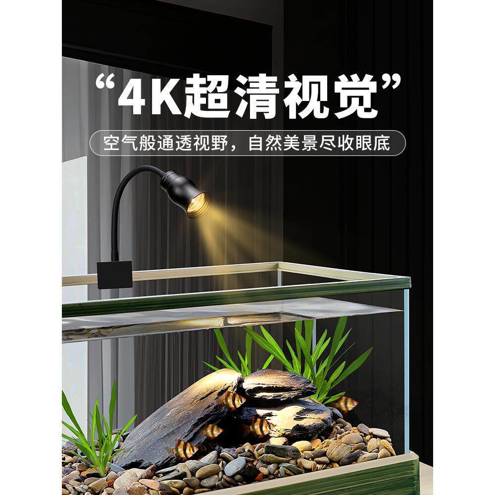 南美溪流造景缸新款客厅中大型玻璃鱼缸桌面草缸原生态鱼龟混养缸