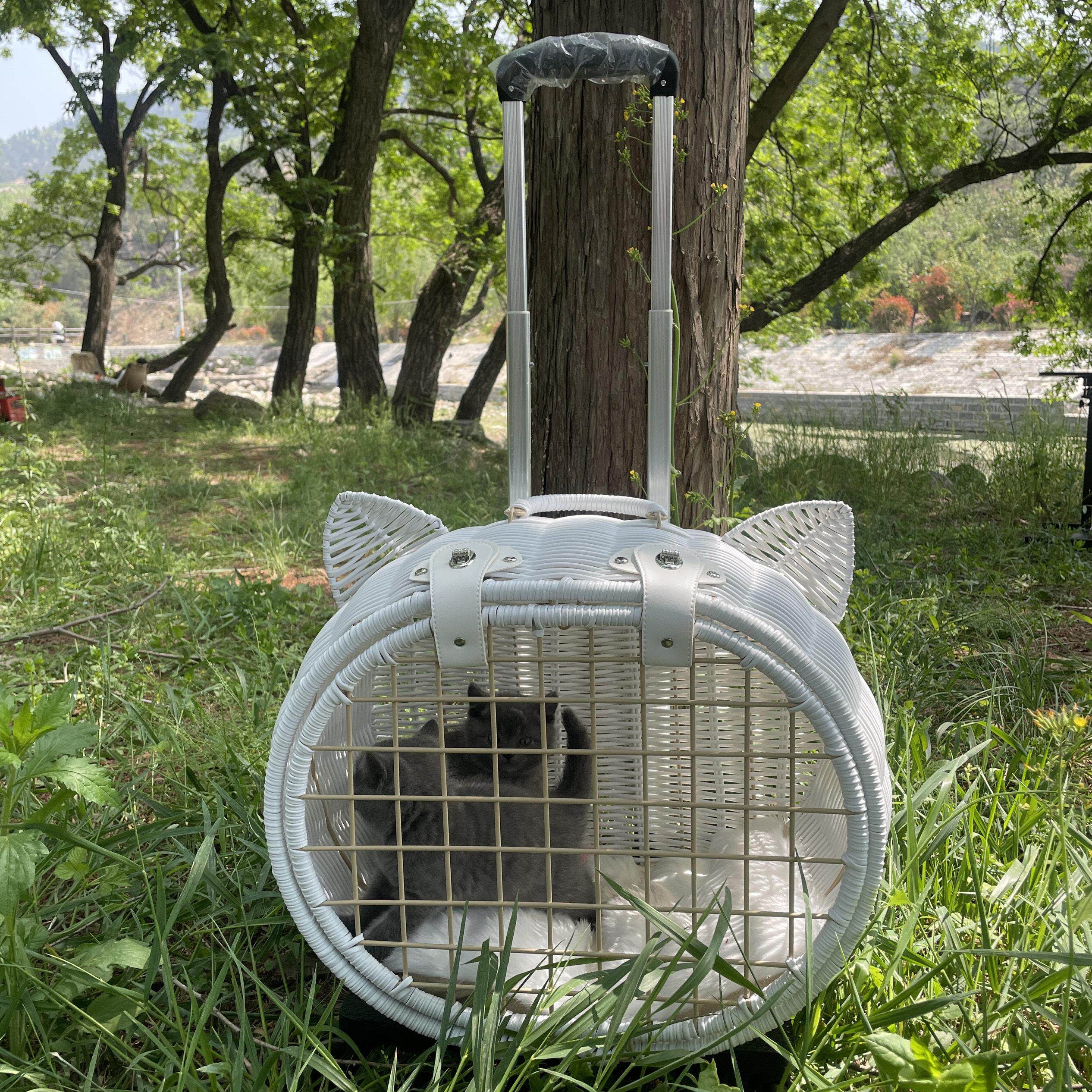 宠物外出拉杆箱猫推车田园藤编柳编织猫包便携宠物小推车